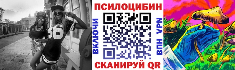 Псилоцибиновые грибы GOLDEN TEACHER  Новая Усмань 